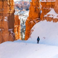 Walking & Biking Tours