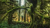 Olympic National Park experience