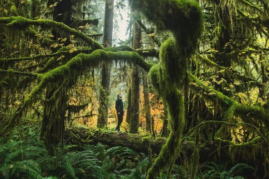 Labor Day in Olympic National Park