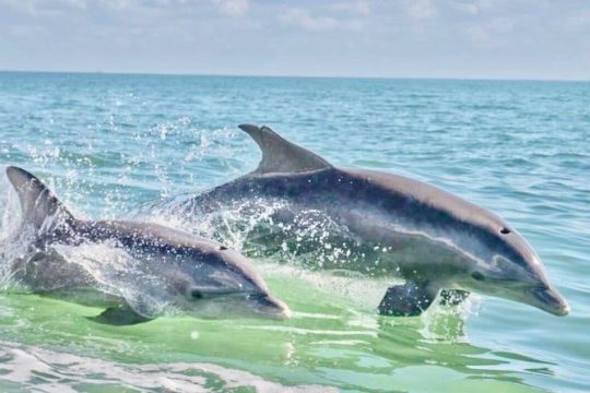 Labor Day in Pensacola