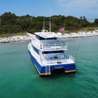 Dolphin & Whale Watching