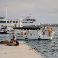 Boat Tours