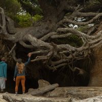 Day Trips & Excursions