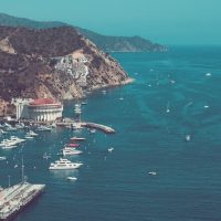 Ferry Services