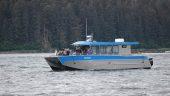 Great experience on smaller boat, up close views of wildlife and more personal feel without sacrificing any comforts of larger b