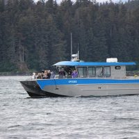 Catamaran Cruises