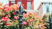 Victorian charm with a perfectly curated menu