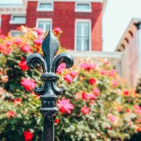 Walking & Biking Tours