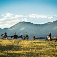 Horseback Riding