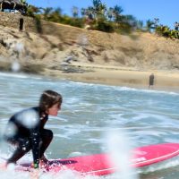 Surfing Lessons