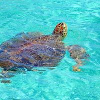 Private & Custom Tours