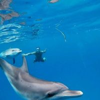 Private Sightseeing Tours