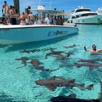 Boat Tours