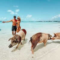 Full-day Tours