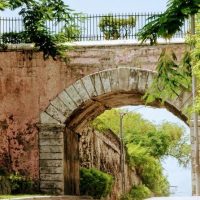 Wine Tasting & Winery Tours