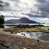Private Sightseeing Tours