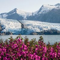 Full-day Tours