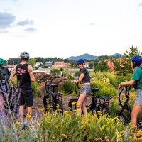 Bike & Mountain Bike Tours