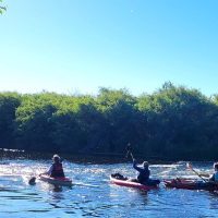 Boat Rentals