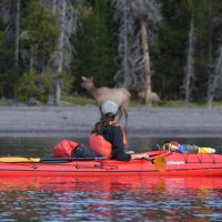 Cruises, Sailing & Water Tours