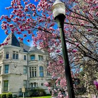 Private & Custom Tours