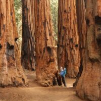 Bus & Minivan Tours