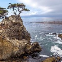 Shore Excursions