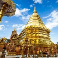Tours & Sightseeing