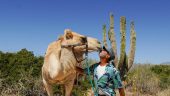 Todo Santos tour from Cabo Adventures