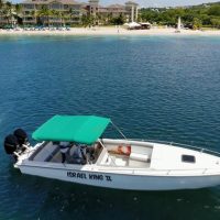 Private & Custom Tours