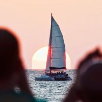 Bus & Minivan Tours