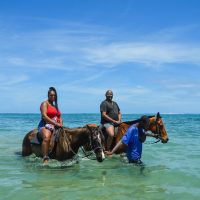 Horseback Riding