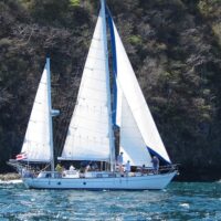 Sailing Trips