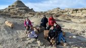Moderate hike in a scenic area