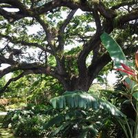 Cultural Tours
