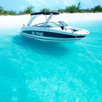 Day Cruises