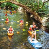 Cruises, Sailing & Water Tours