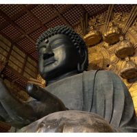 Day Trips & Excursions