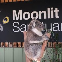 Full-day Tours