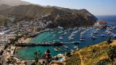 Great for a First Time in Catalina