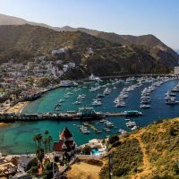 Private Sightseeing Tours