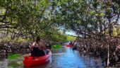 Memorable trip