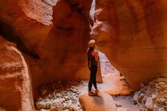 MLK Day in Zion National Park