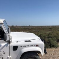 Private & Custom Tours