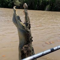 Boat Tours