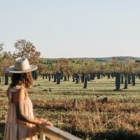 Shore Excursions