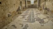 Fascinating visit to see Roman mosaics
