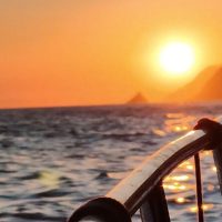 Private & Custom Tours