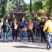 Cultural Tours