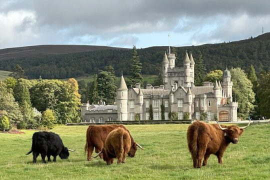 Easter in Northeast Scotland